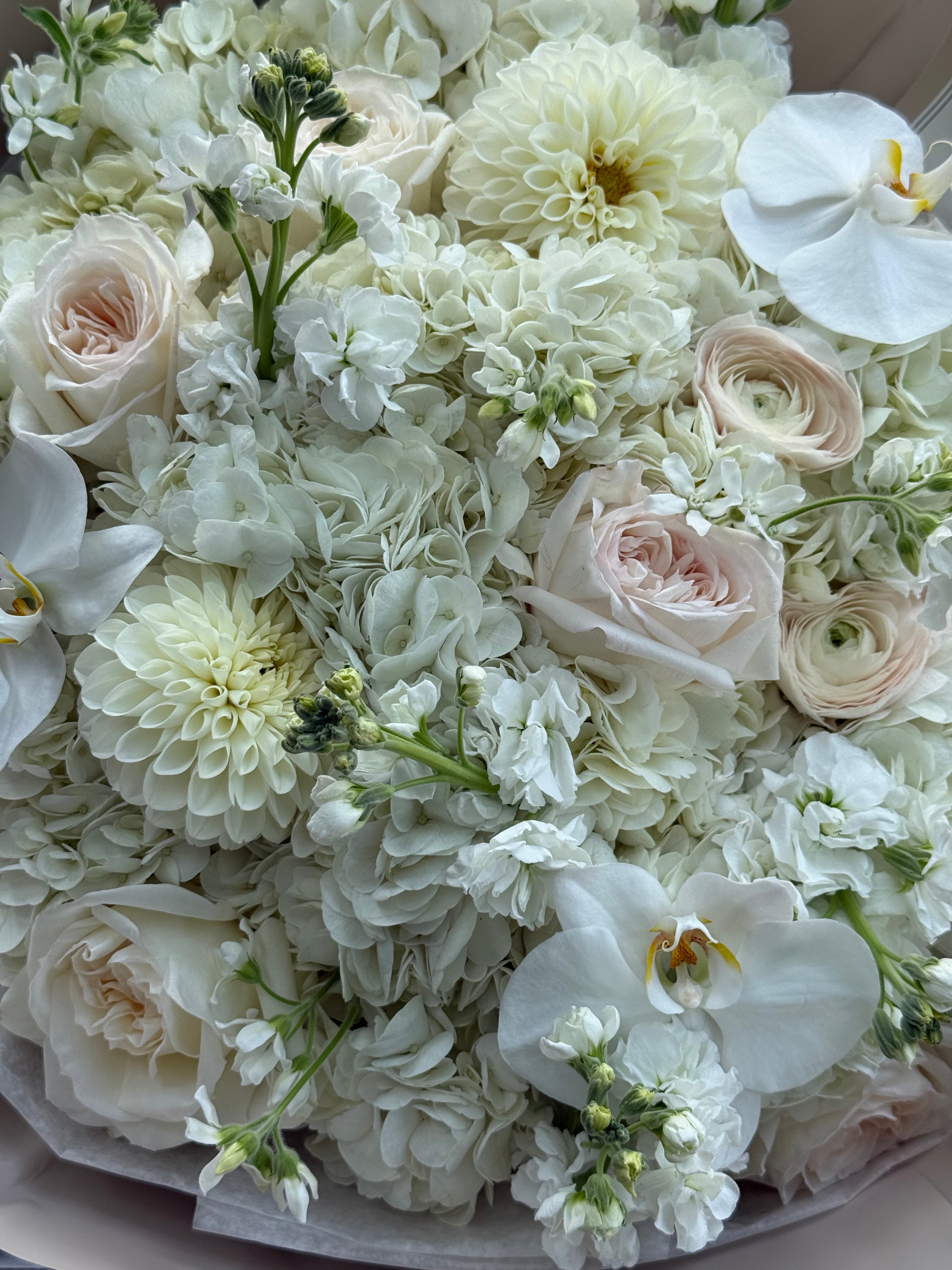 White Garden