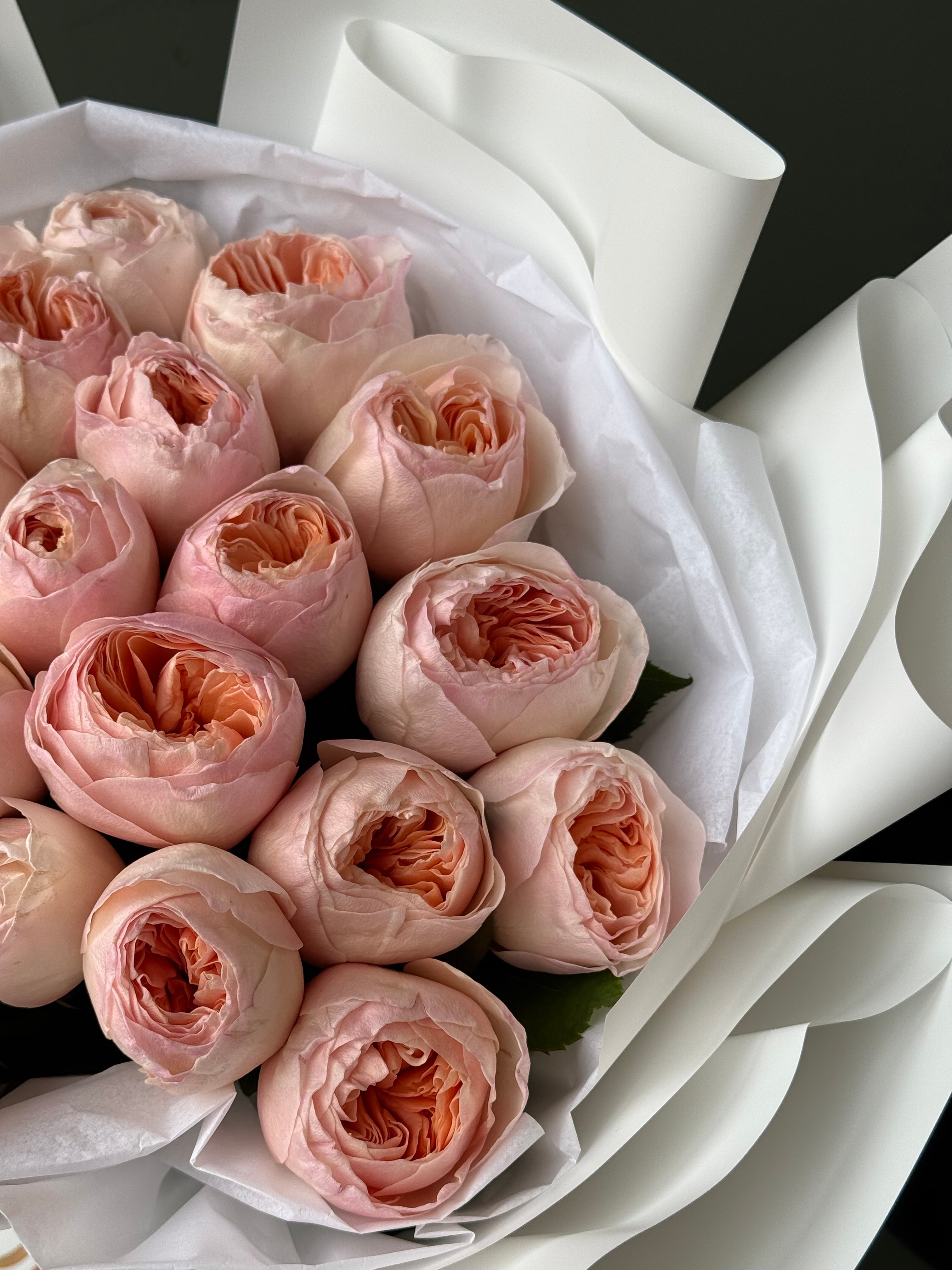 “Juliet ” Garden Roses