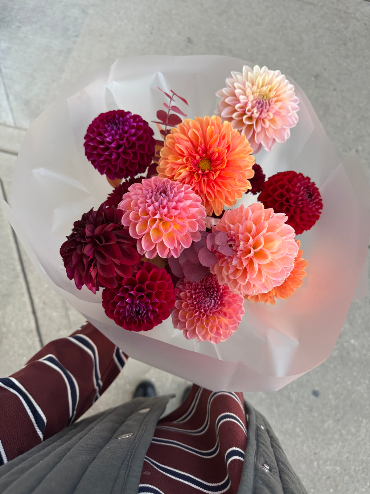 “Mix Dahlias” Limited