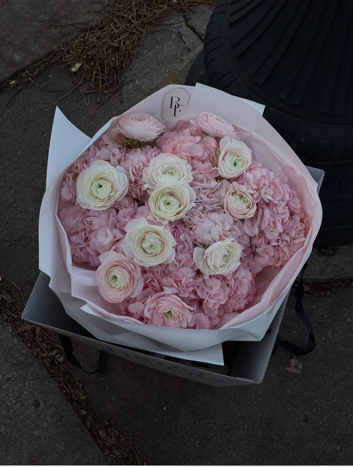 “Once upon a time”