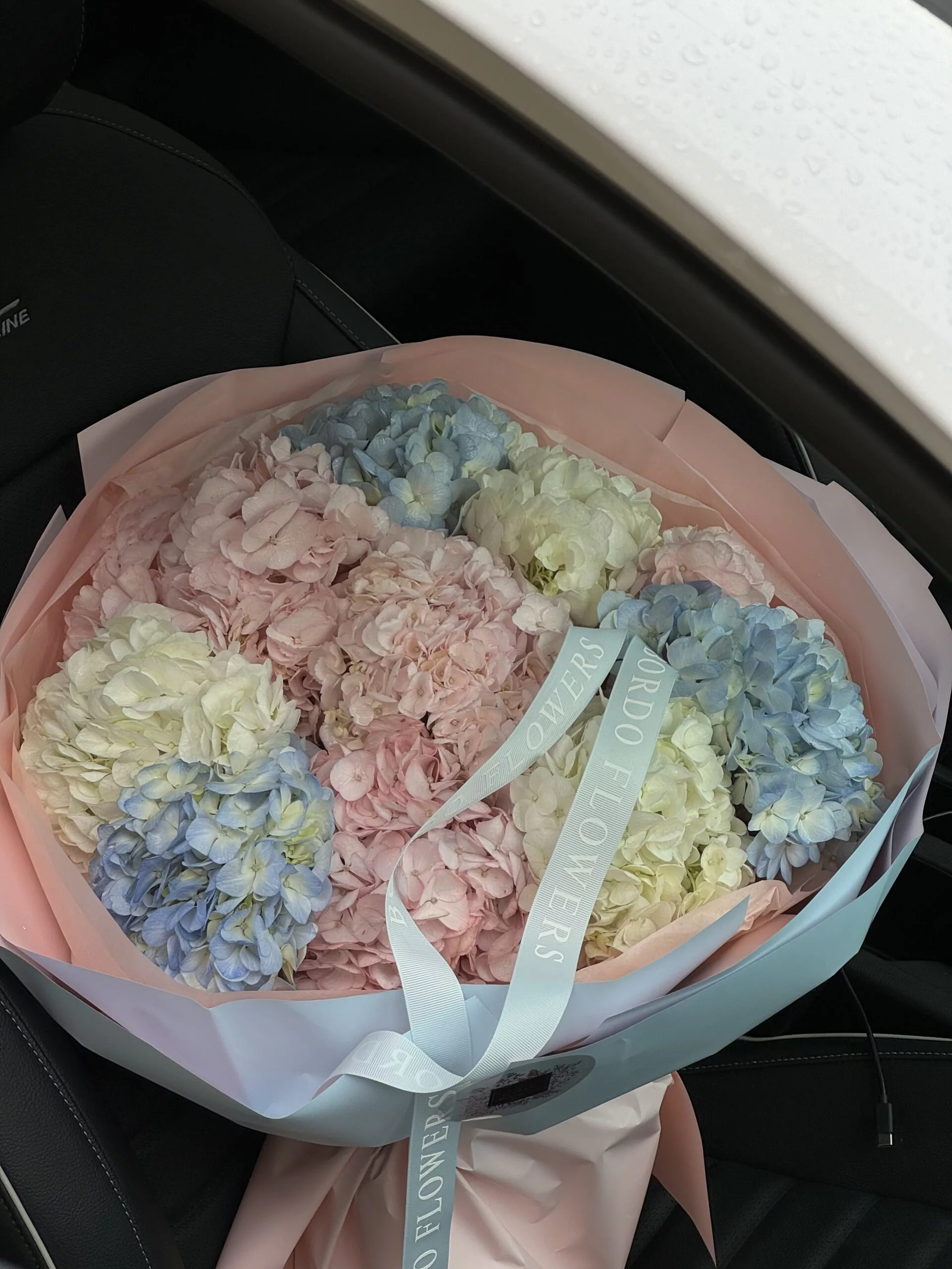 image_67214337 Clouds