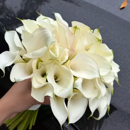 The Serenity bridal bouquet is a sleek and refined arrangement featuring pure white calla lilies — the epitome of grace and modern elegance. Known for their sculptural beauty and symbolic purity, the callas create a striking silhouette that is both minimalist and deeply romantic. Designed with a clean, flowing form and finished with a smooth ivory ribbon, Serenity is a bouquet that speaks softly yet leaves a lasting impression. Ideal for the bride seeking timeless style with a touch of contemporary poise, this bouquet embodies calm, beauty, and quiet strength. When purchasing a bridal bouquet, you will always be contacted in advance to adjust the size, flowers based on your preferences. Also, we provide pictures of the bridal bouquet a day before, so make sure you are satisfied with the final result.